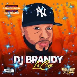 Meet your Posher, Brandy